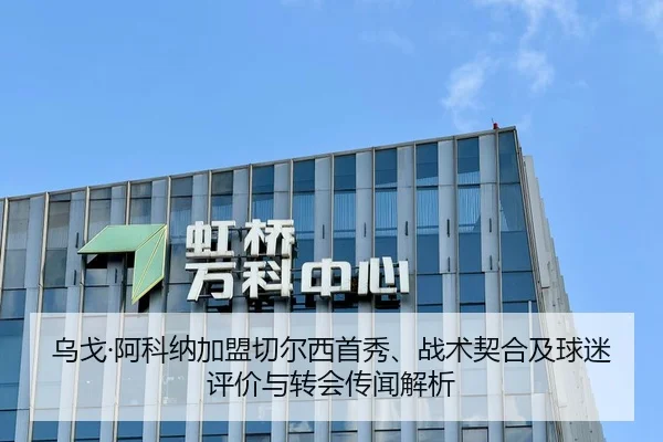 乌戈·阿科纳加盟切尔西首秀、战术契合及球迷评价与转会传闻解析